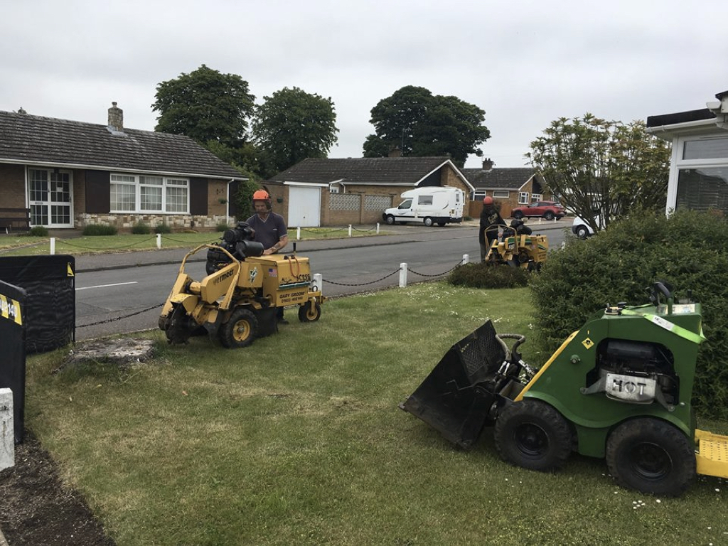 A photo of our stump grinders at work