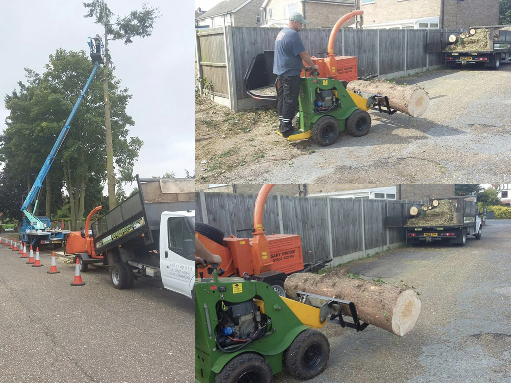 A collage of Gary Groom Tree Surgeon at work in Sprowston